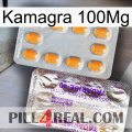 Kamagra 100Mg new12